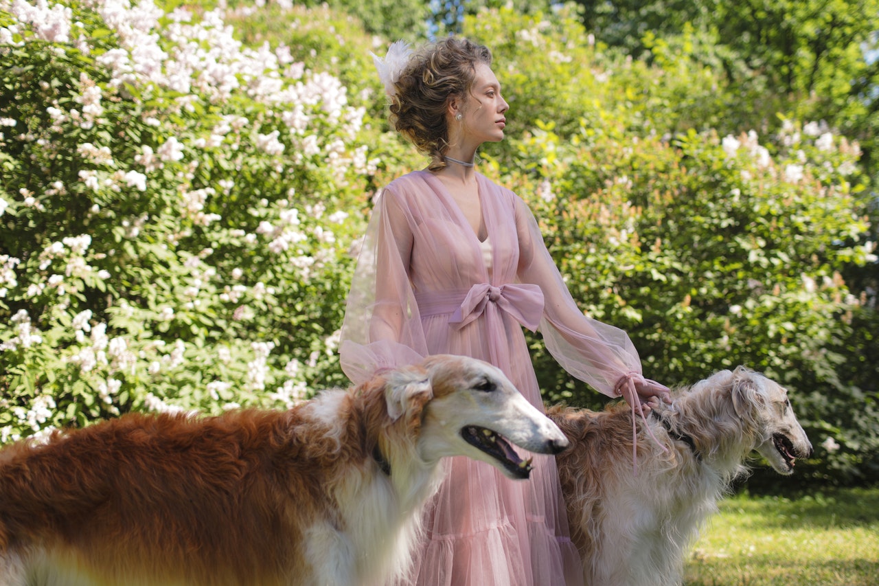 See through dress on a woman with two dogs